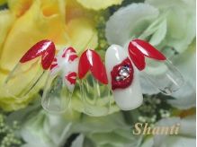 4オフ込 トレンドデザイン¥5500 - Shanti nail salon