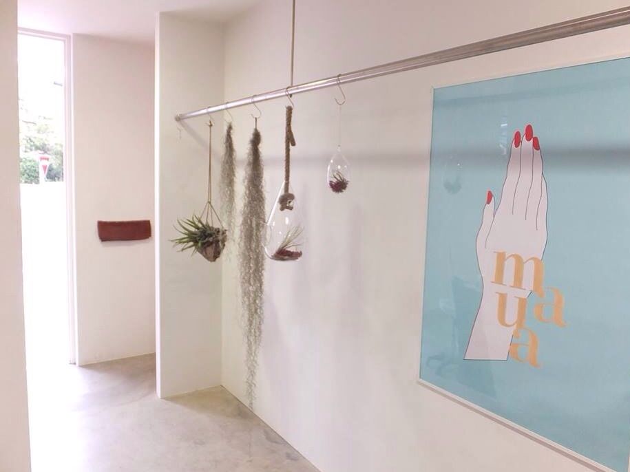 エアープランツなどの植物があふれる店内。