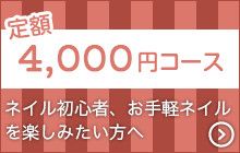 ハンドネイル定額4000円

お客様へ感謝の気持ちを込めた特別プライス