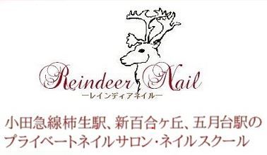 レインディアネイル