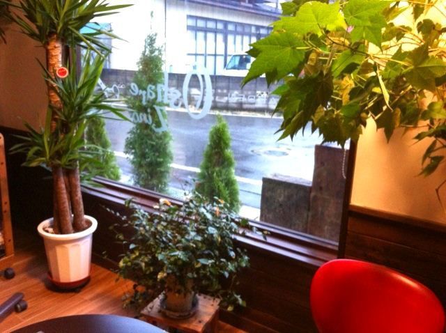 夏のフットジェルネイルやブライダルネイルもやっています。