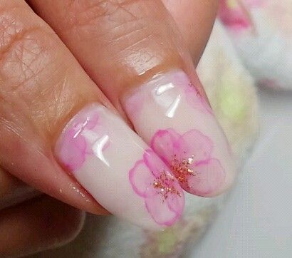 涼しげな透け花