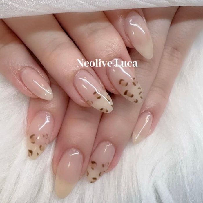 Neolive Luca 御茶ノ水