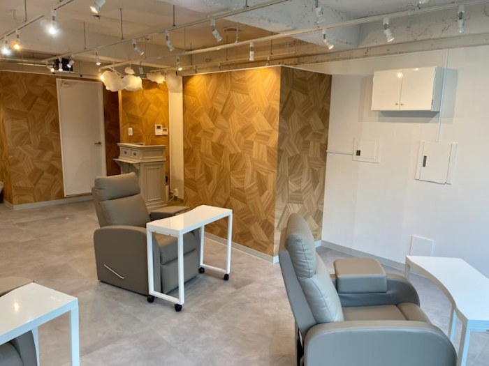 ねこ好きの為のNail Salon Le Dali Deux 東銀座店