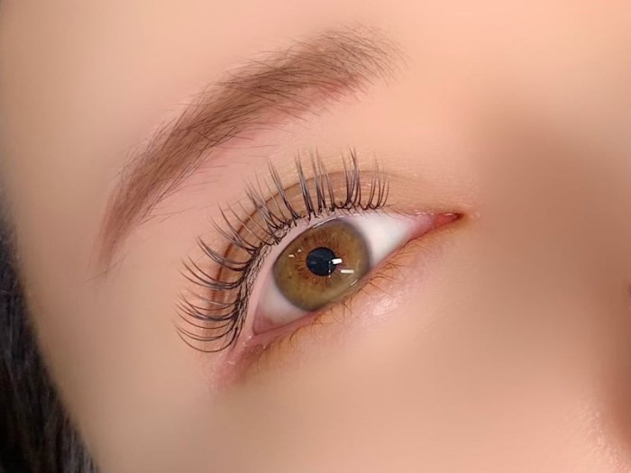 Nail&Eyelashsalon ANDY