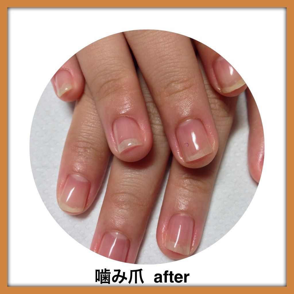 プルメリア・ケイズ・スタジア